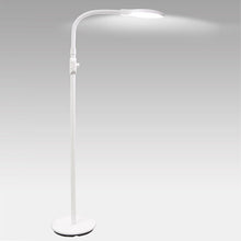Load image into Gallery viewer, Dawn-to-Dusk Floor Lamp